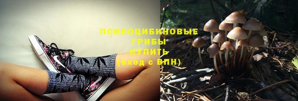 меф Богородицк