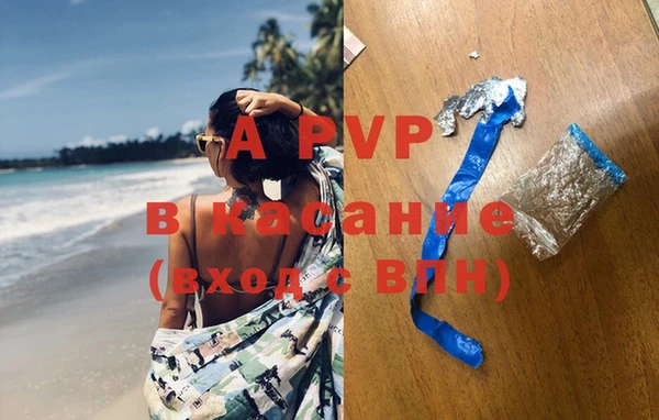каннабис Богданович