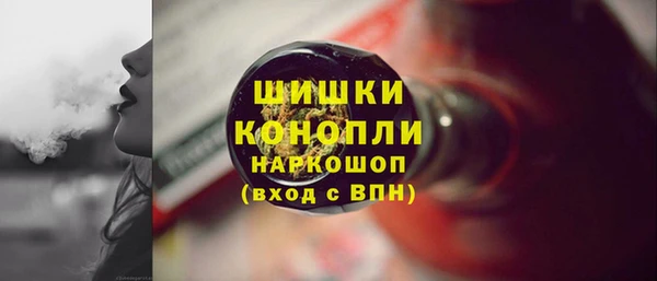 стаф Верея
