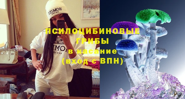 стаф Верея