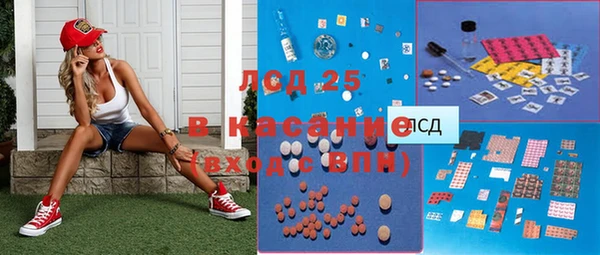 стаф Верея