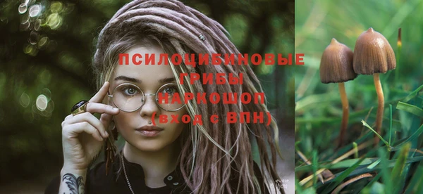 стаф Верея