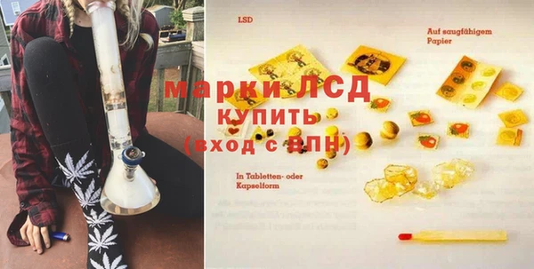 стаф Верея
